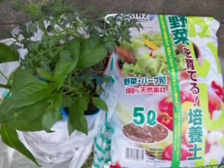 SH3D10530001.jpg