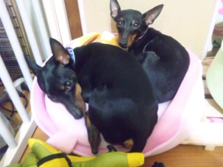 SH3D37720001.jpg