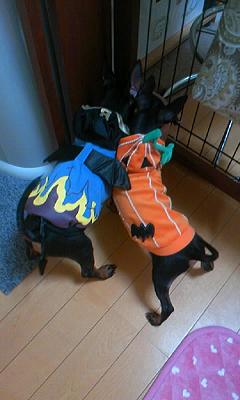 091030_2047~01.JPG