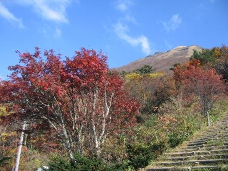 山頂を望む～