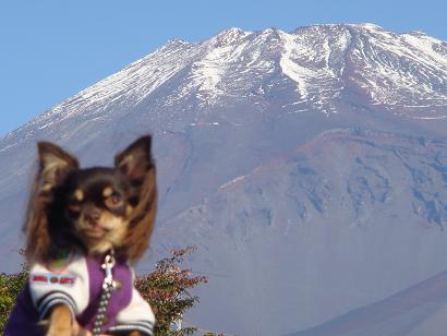 チョコと富士山