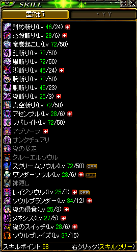 100530skill