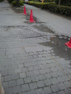 波打った道路２