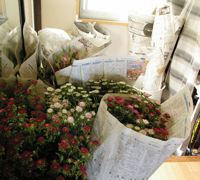 s-2010-08-017 017.jpg