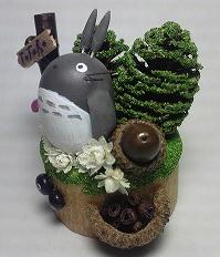 どんぐり帽子のプランター