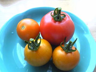 家のとまと～♪