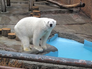 写真またはビデオ 169.jpg
