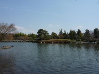 昭和記念公園のお花11