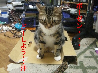 ボーゼン.jpg