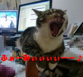 ルナ３ｋ.jpg