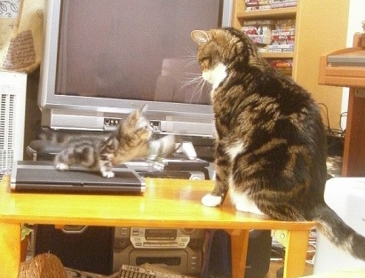 さく３.jpg