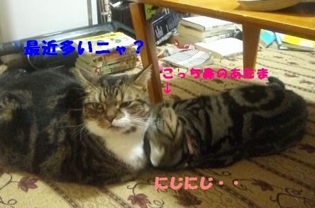 その２の２.jpg