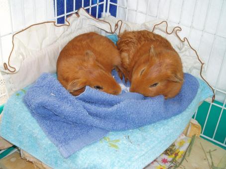 ホルン＆ノン