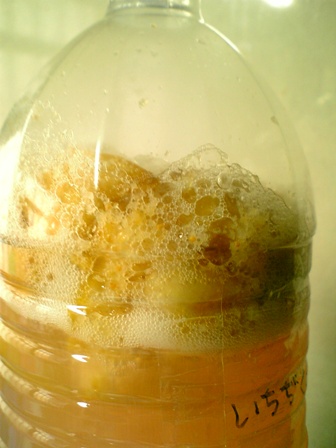 イチジク酵母　3日目の夜　完成したらしい・・早っ！