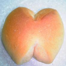 レモン酵母のシンプルなパン