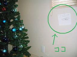 ツリーの横に？