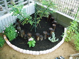 去年のロータス