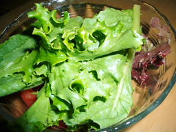 レタス　盛り付け
