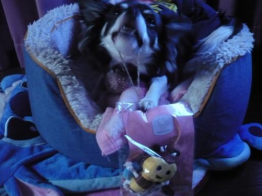 クリスマスプレゼント