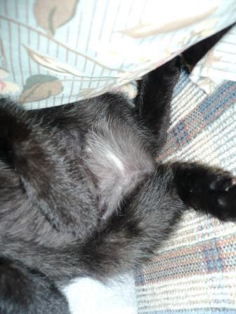 パンティラインしずか