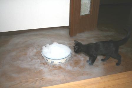 ドライアイスとしずか