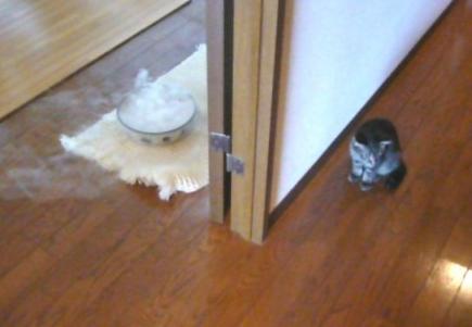 ドライアイスとクローニャ