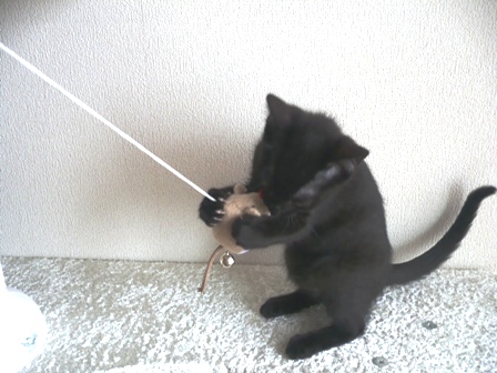 しずかatタワー