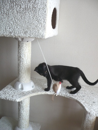 しずかatタワー2