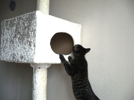 クローatタワー2