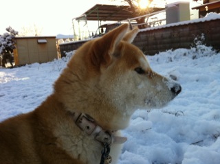 2012-02-19 09:04:41