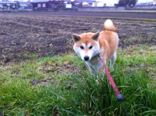 2012-01-21 23:07:22