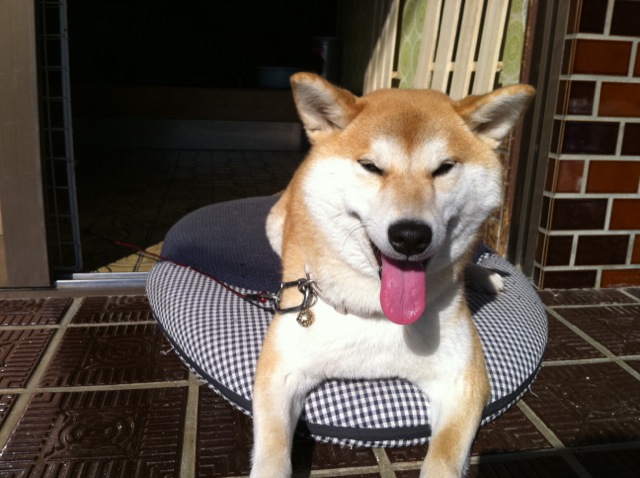 2011-12-17 12:56:09