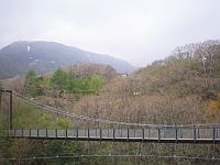 弁天吊橋