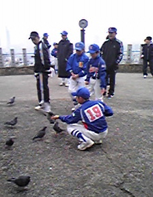 2010111hato