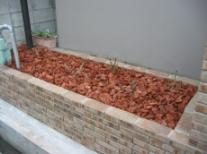 バラの庭０６年３月