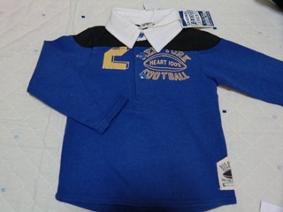 ＦＯポロ１００