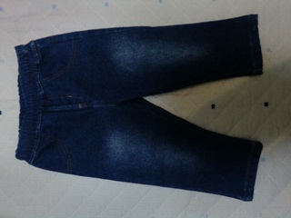 １００セラフデニレギ