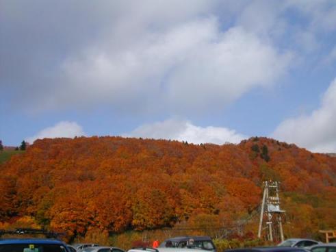 酸ヶ湯温泉の紅葉