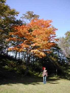 大沼の紅葉3