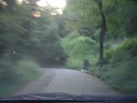 道