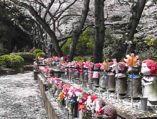 散る桜と地蔵たち