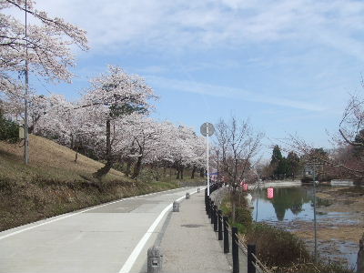 2006_0423_103418.JPG