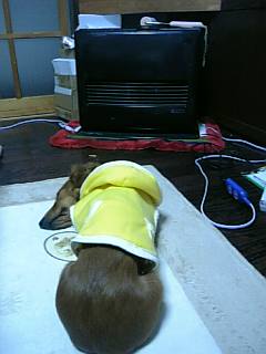 ファンヒーター