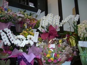 お祝いの花たち
