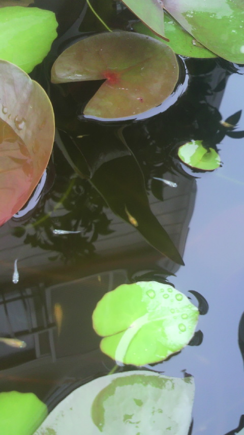 2011062710450001.jpg