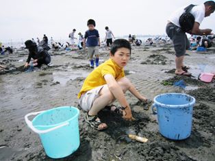 しおひがり