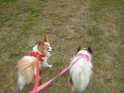 DSCF3406-(640x480).jpg
