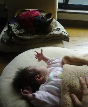 アリス～こっち向いて～