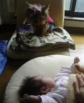 あ、こっち向いた♪