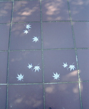 もみじのタイル♪